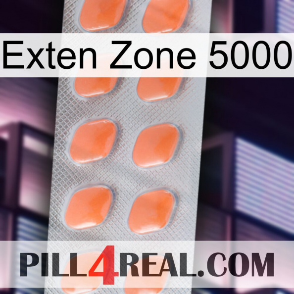 Exten Zone 5000 26.jpg